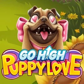 Go High Puppy Love – slot by RubyPlay, featured at spinkoo.pl